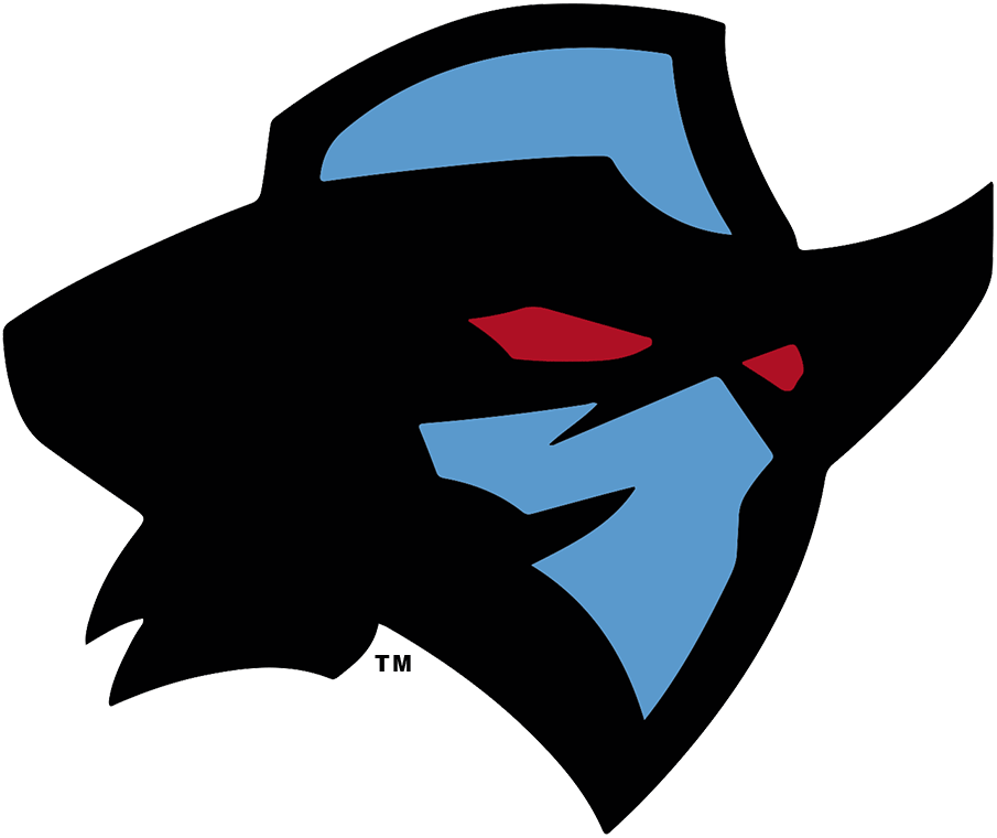 Dallas Renegades 2020-Pres Primary Logo vinyl decal